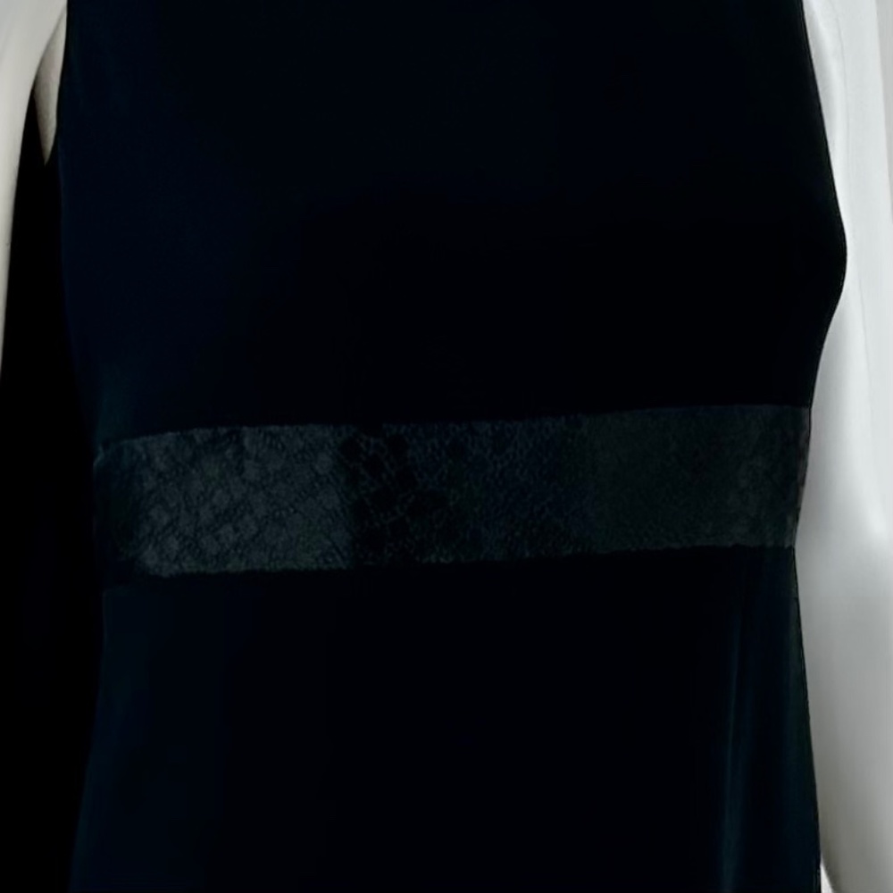 Alexander McQueen Cape Dress - Picture 5 of 8